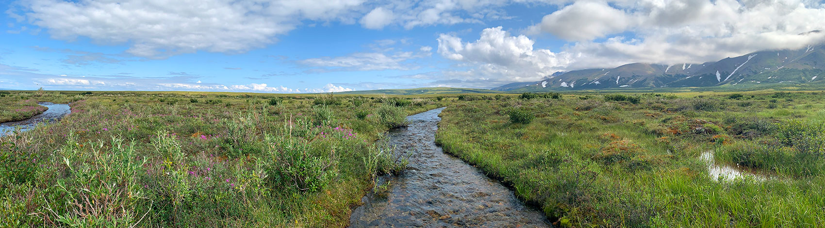 View of Alaskan creek with mountains in the background.